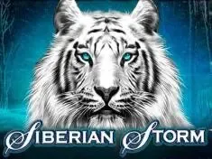 69g Bet: A Melhor Plataforma de Apostas e Cassino no Brasil ⭐️